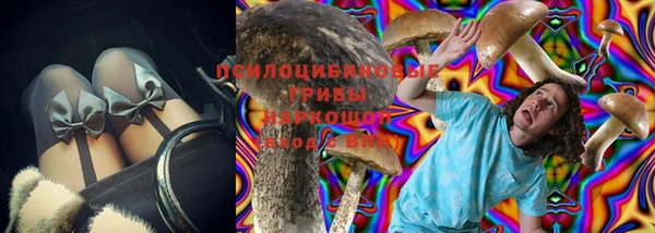 скорость Баксан